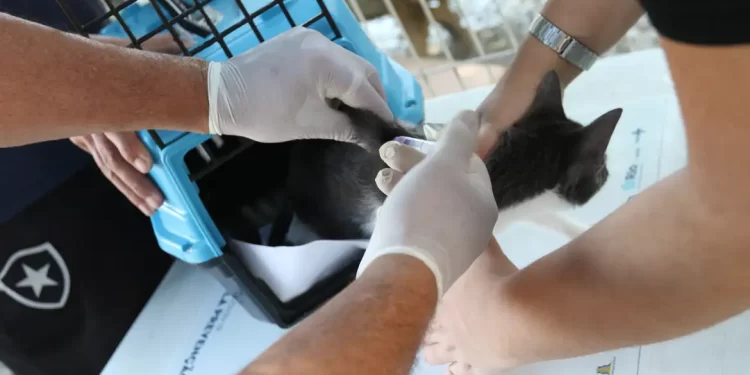 © Tânia Rêgo/Agência Brasil