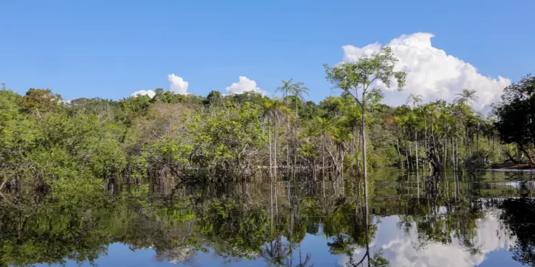 © Fabio Rodrigues-Pozzebom/Agência Brasil