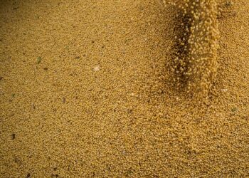 © CNA/Wenderson Araujo/Trilux