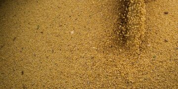 © CNA/Wenderson Araujo/Trilux