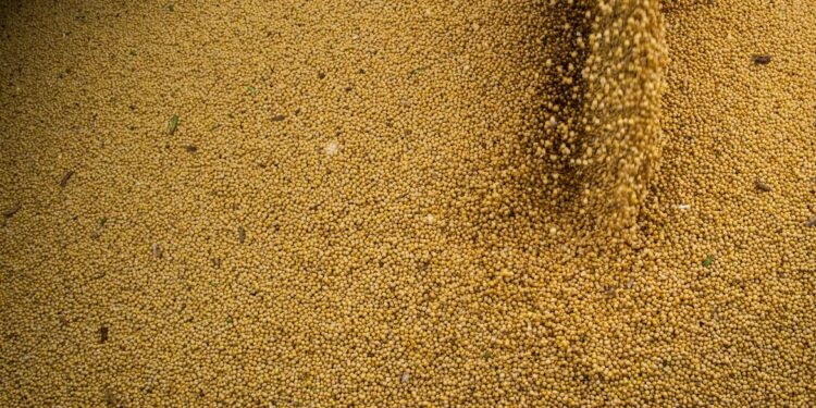 © CNA/Wenderson Araujo/Trilux