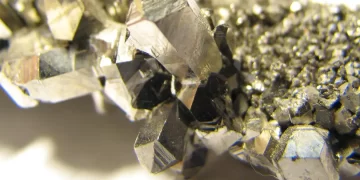 © Portal Gov.br/Reprodução