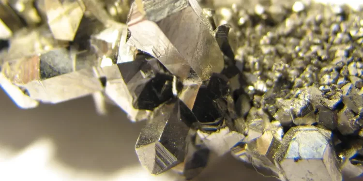 © Portal Gov.br/Reprodução