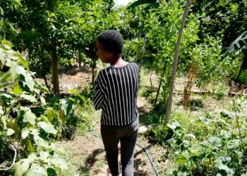 © Tânia Rêgo/Agência Brasil