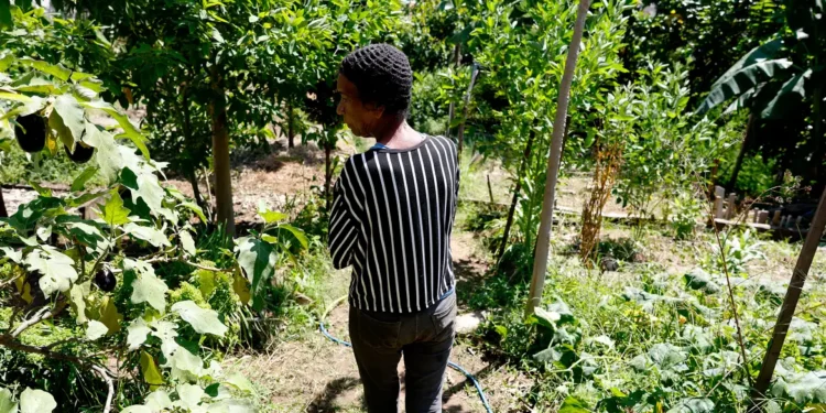 © Tânia Rêgo/Agência Brasil