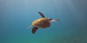 © Fernando Frazão/Agência Brasil