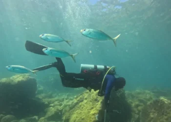 © Fernando Frazão/Agência Brasil