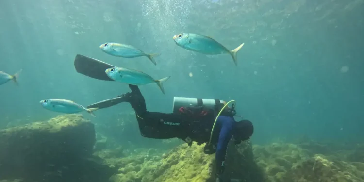 © Fernando Frazão/Agência Brasil