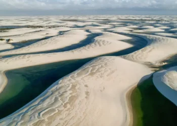 © Fernando Donasci/MMA