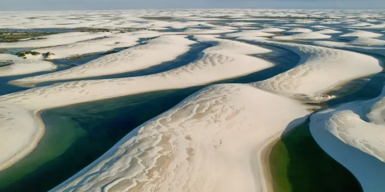 © Fernando Donasci/MMA