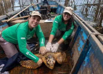 © Stefan Kolumban/Divulgação